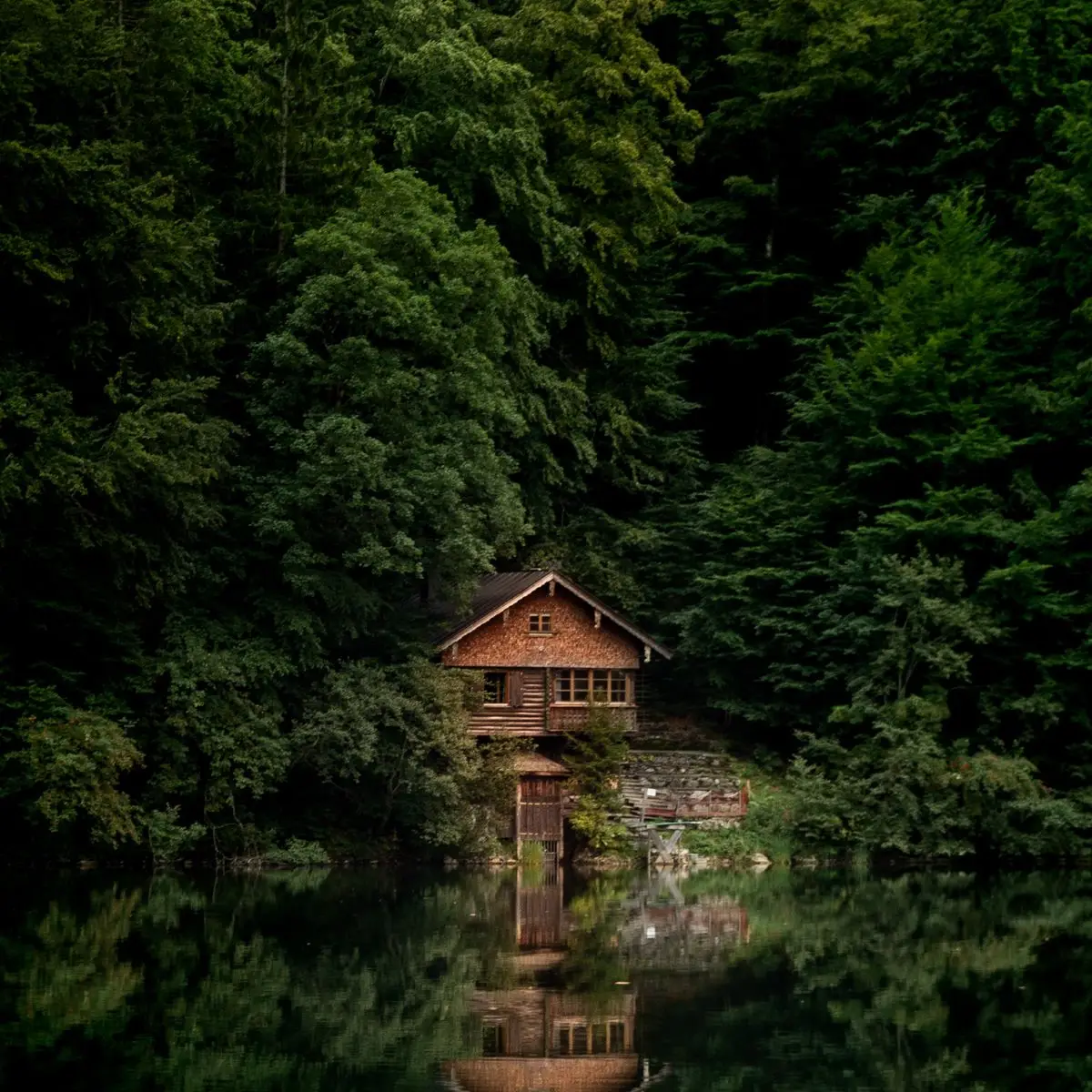 Chalet en bois au bord d'un lac paisible entouré de forêt en été — Fermeture estivale des bureaux de TEKpur Architecture